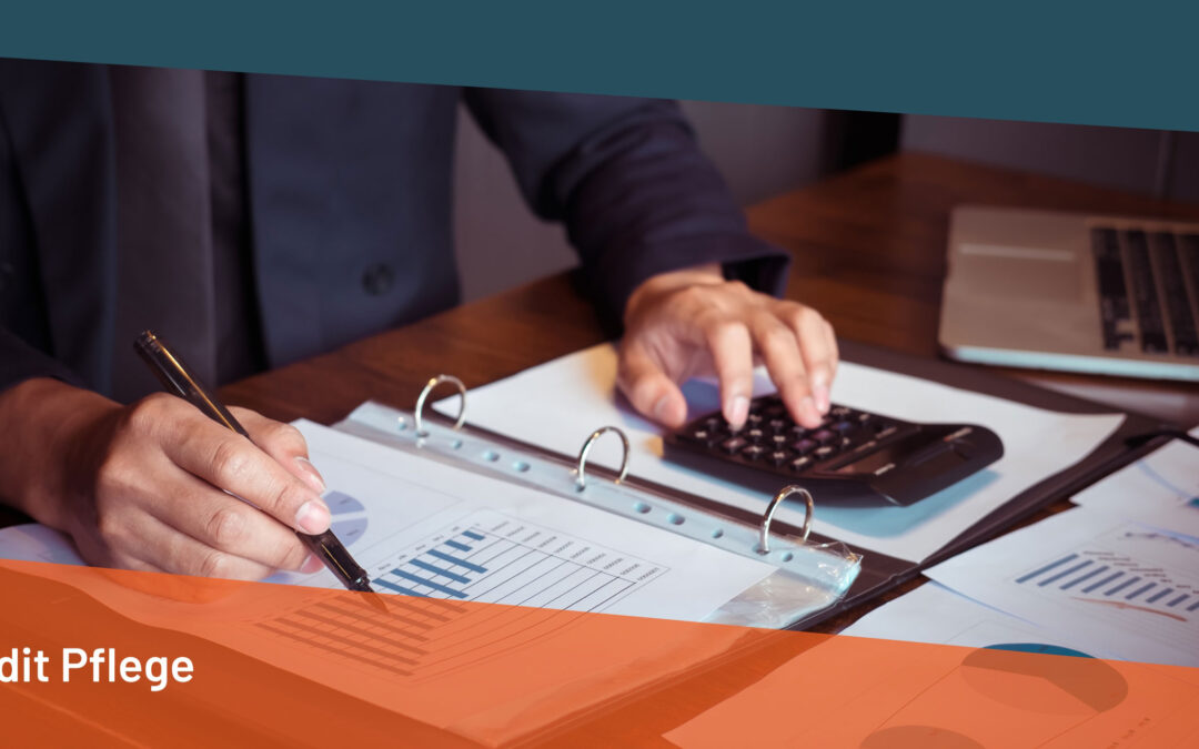 Audit Pflege