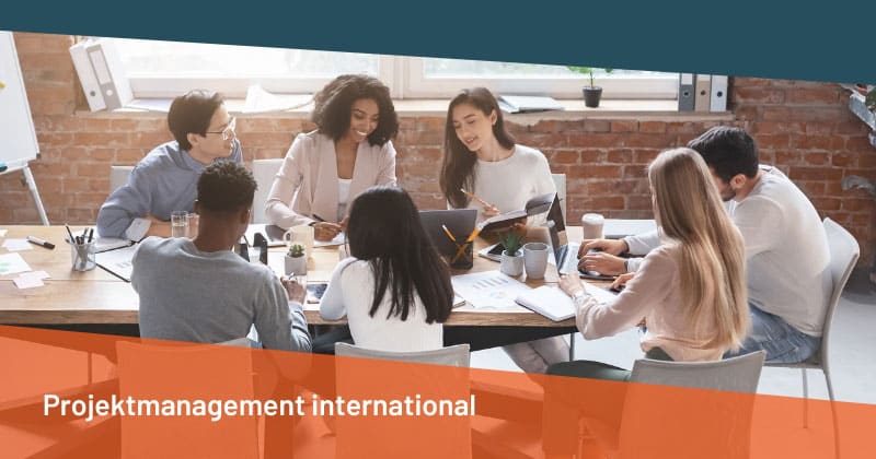 Projektmanagement international